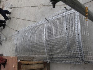 IMG_0186  